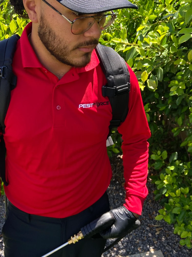 Pest force technician spraying outdoors