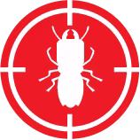Termite Control